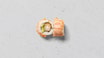 54.2 Grillet Laks Ebi Dragon Roll Kaburimaki (8 stk.) 