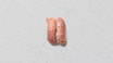 91. Tun Tataki Nigiri